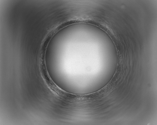 X0000073870736200608101106