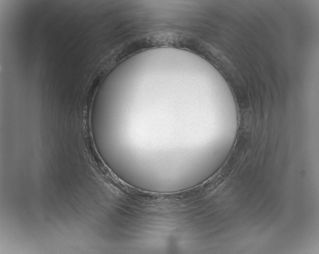 X0000073870737200608101106