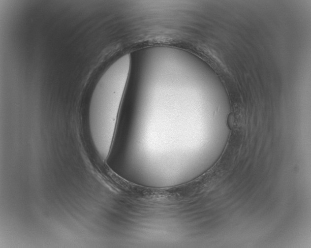 X0000073870738200608101106