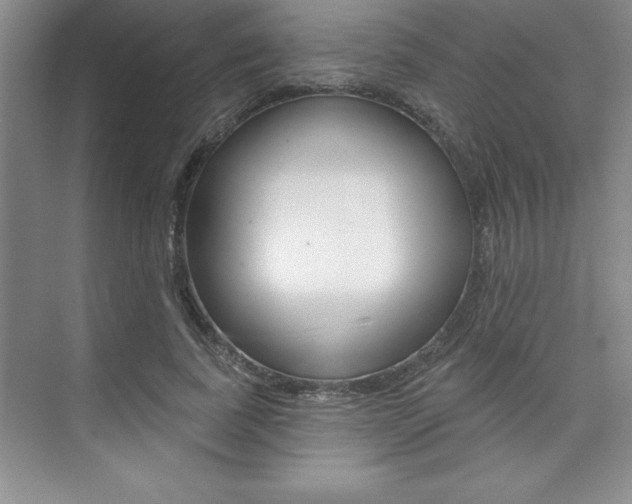 X0000073870739200608101106