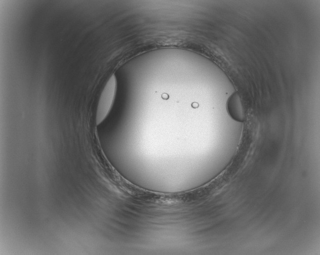 X0000073870741200608101106