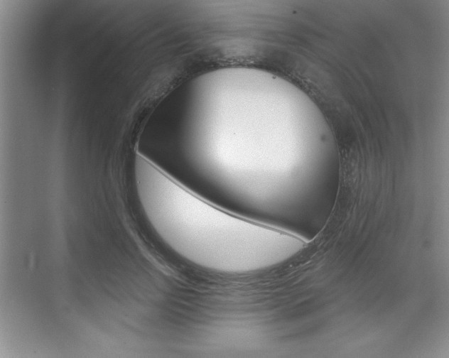 X0000073870742200608101106