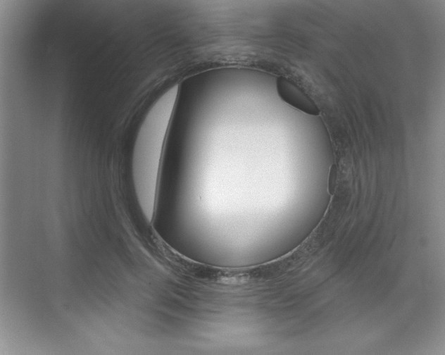 X0000073870744200608101106