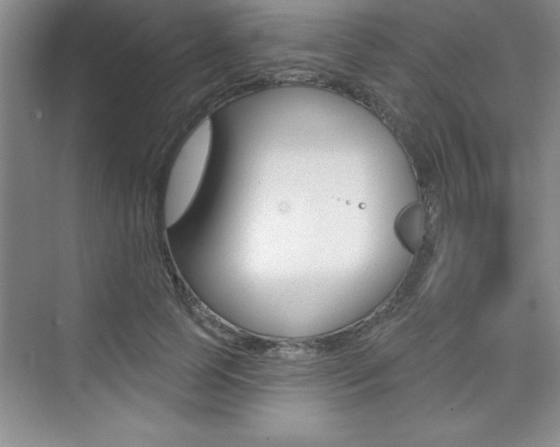 X0000073870745200608101106