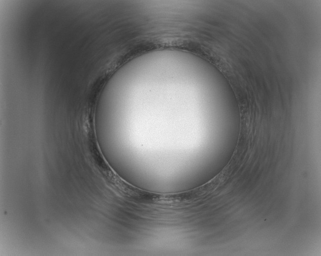 X0000073870746200608101106