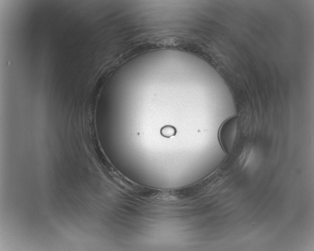 X0000073870747200608101106