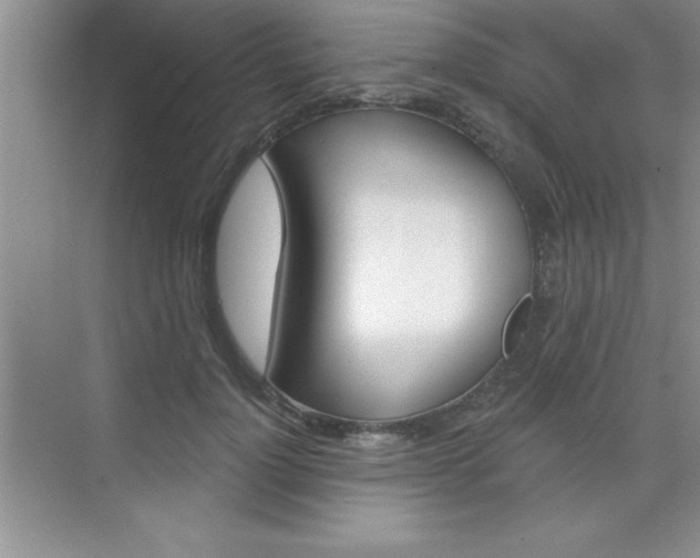 X0000073870748200608101106