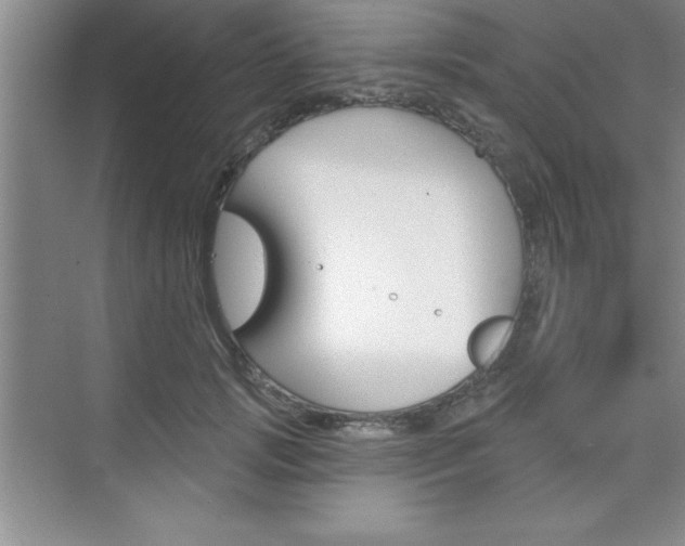 X0000073870749200608101106