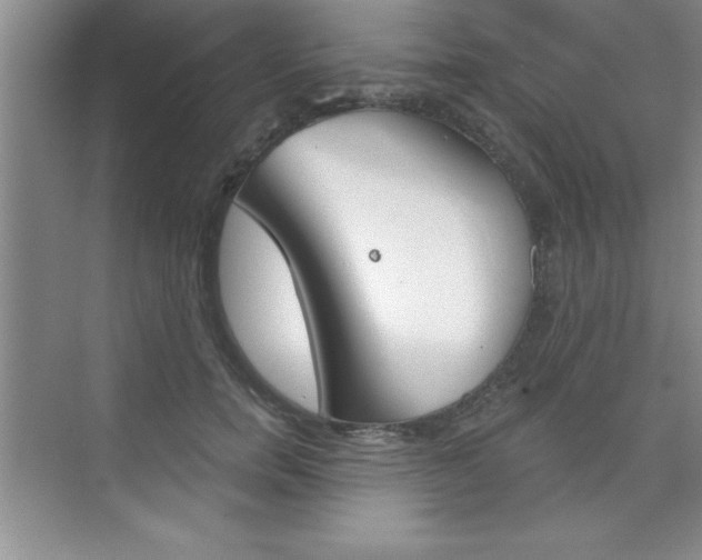 X0000073870750200608101106