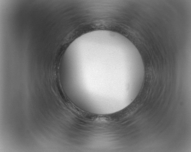 X0000073870751200608101106