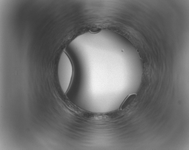 X0000073870752200608101106