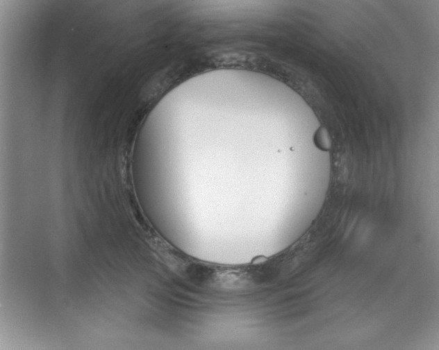 X0000073870753200608101106