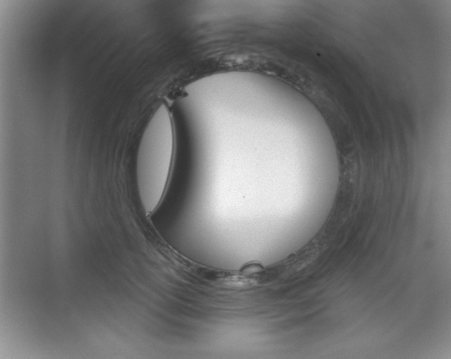 X0000073870754200608101106