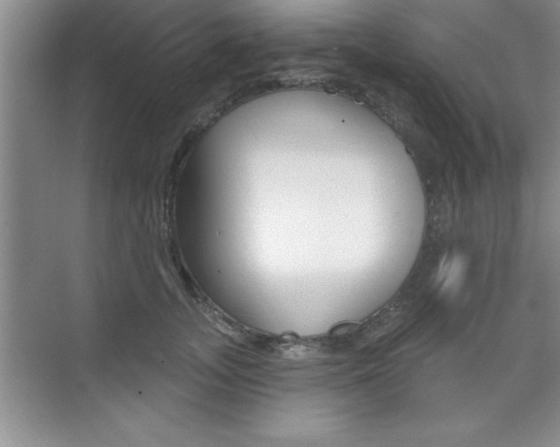 X0000073870755200608101106