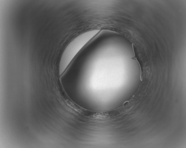 X0000073870756200608101106