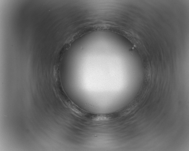 X0000073870759200608101107