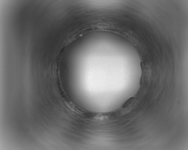 X0000073870760200608101107