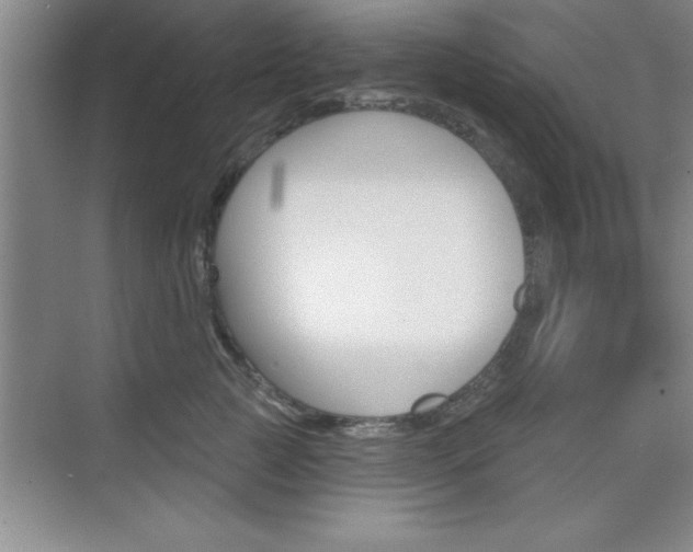 X0000073870761200608101107