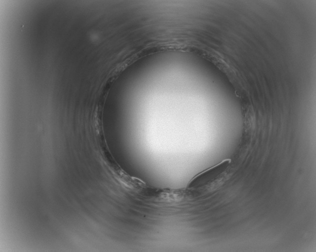 X0000073870764200608101107