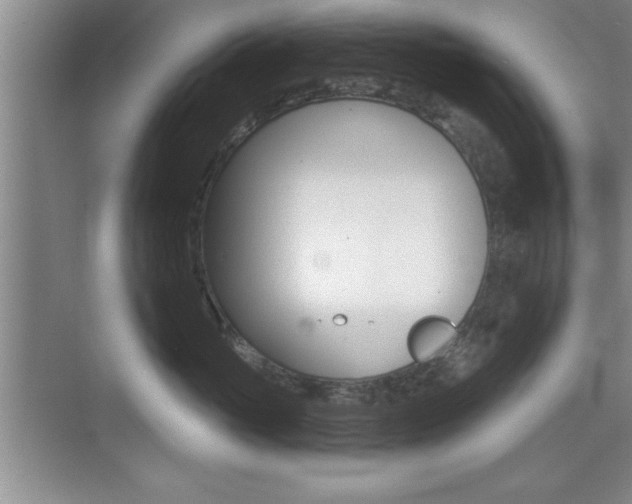 X0000073870765200608101107