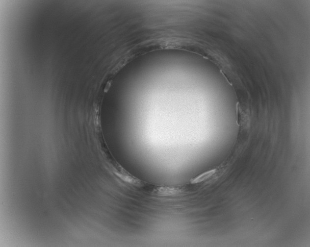 X0000073870766200608101107