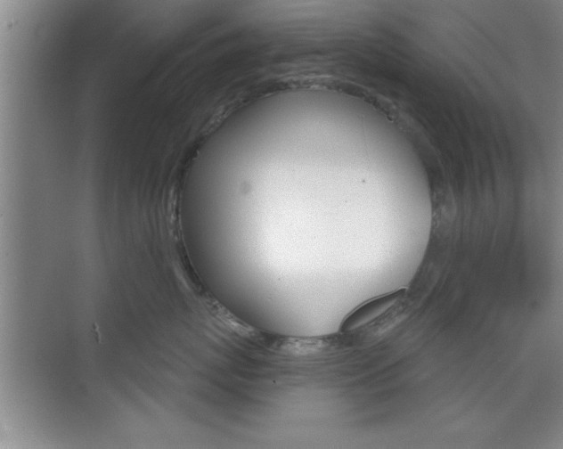 X0000073870767200608101107