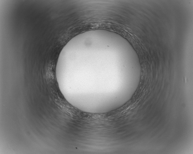 X0000073870770200608101106