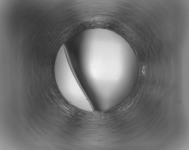 X0000073870771200608101106