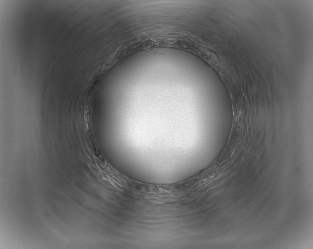 X0000073870772200608101106