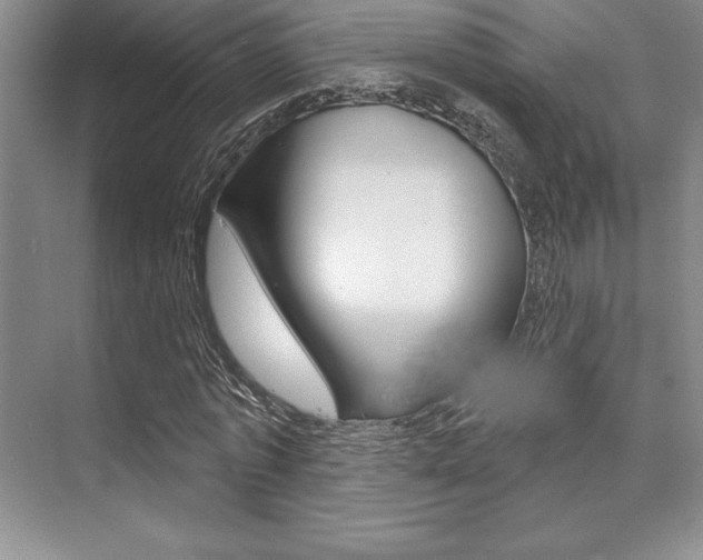 X0000073870773200608101106