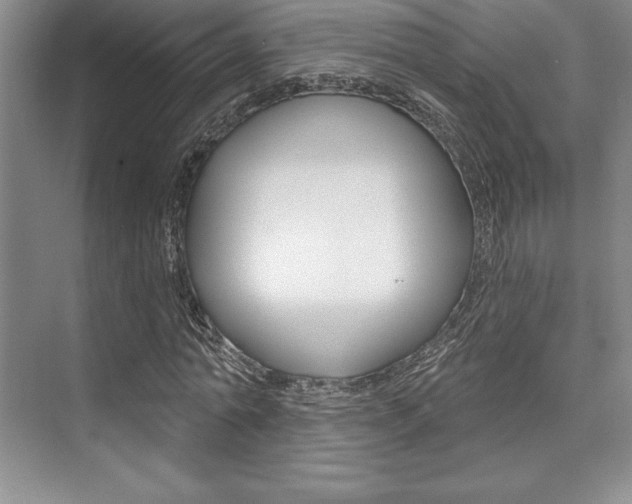 X0000073870774200608101106