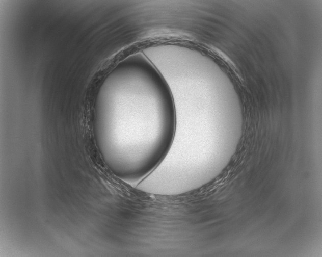 X0000073870775200608101106