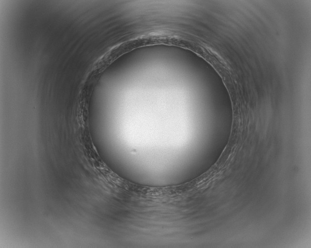 X0000073870776200608101106