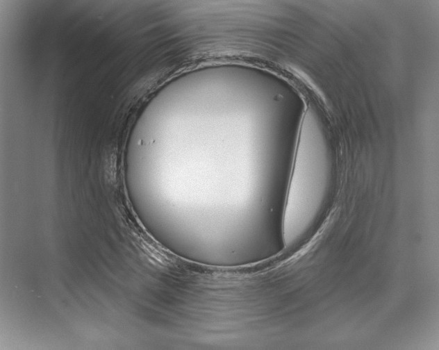 X0000073870777200608101106