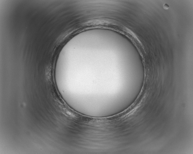 X0000073870778200608101106