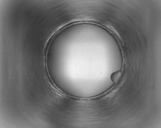 X0000073870781200608101106