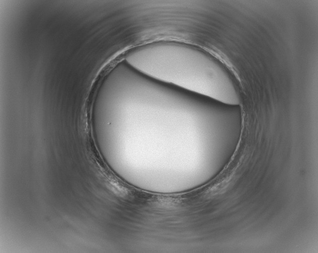 X0000073870782200608101106