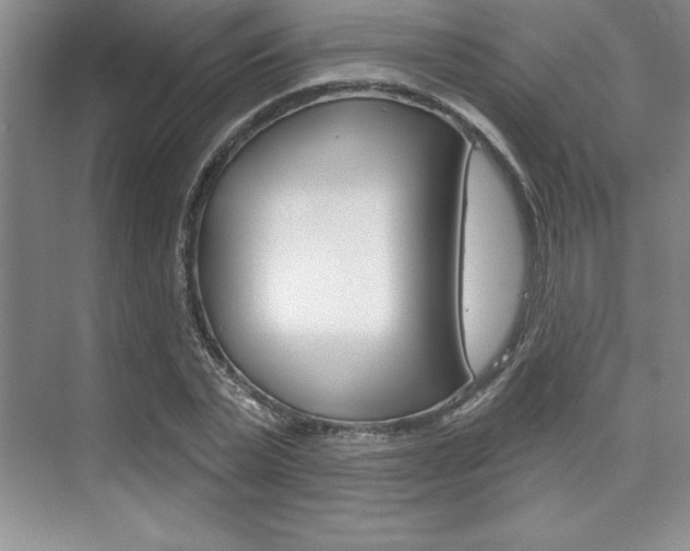 X0000073870783200608101106