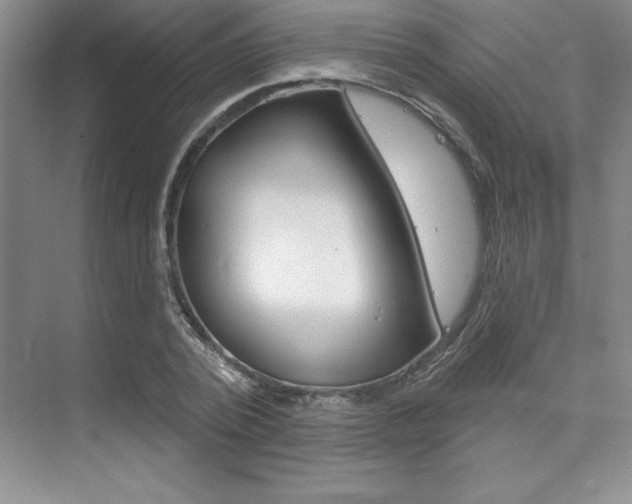 X0000073870784200608101106