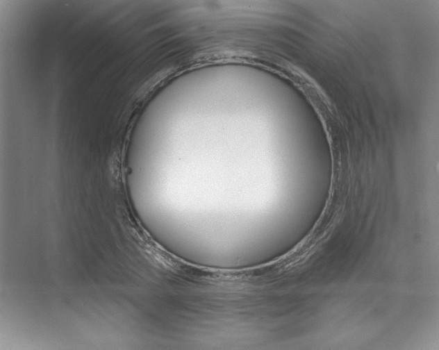 X0000073870785200608101106