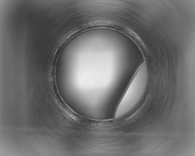 X0000073870786200608101106