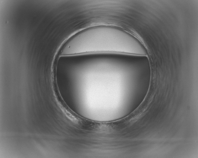 X0000073870787200608101106