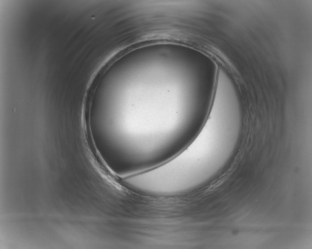 X0000073870788200608101106