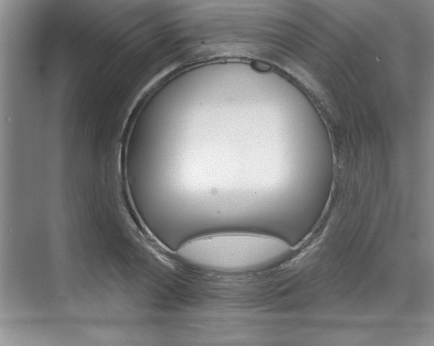 X0000073870790200608101106