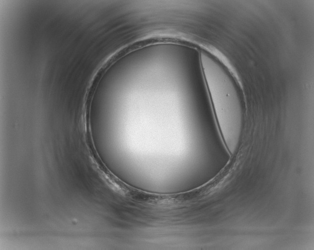 X0000073870791200608101106