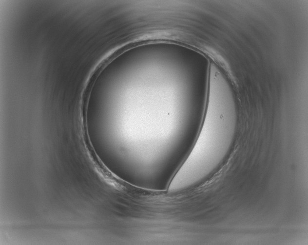 X0000073870792200608101105