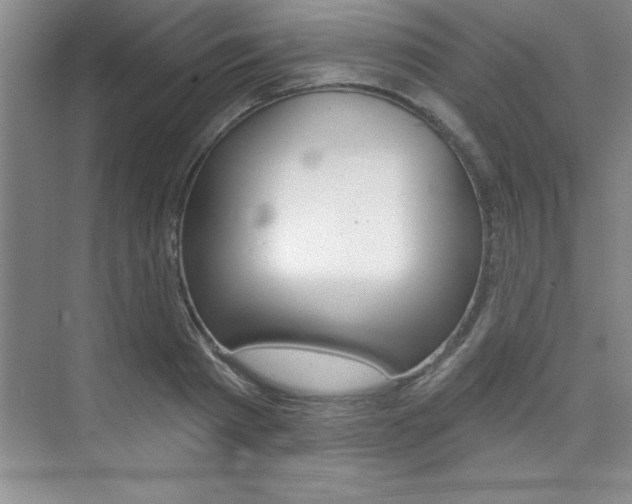 X0000073870793200608101105