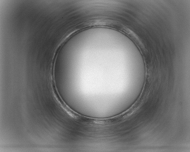 X0000073870794200608101105