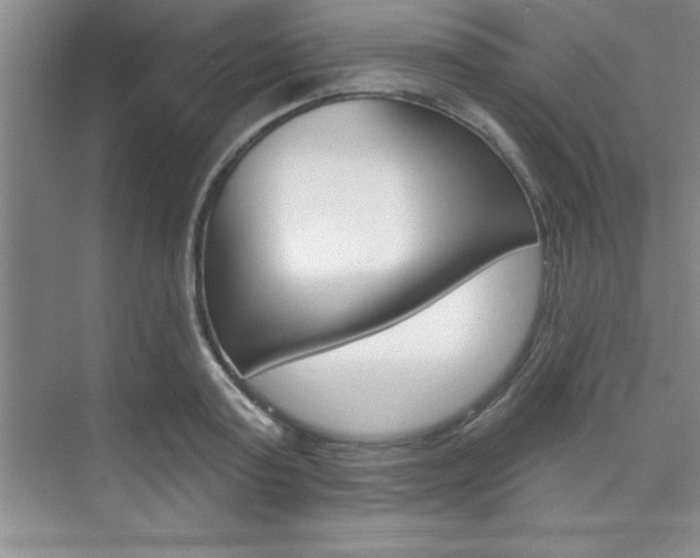 X0000073870795200608101105