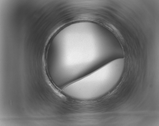 X0000073870796200608101105